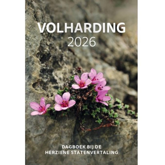 Volharding ! 2026 - Diverse Auteurs