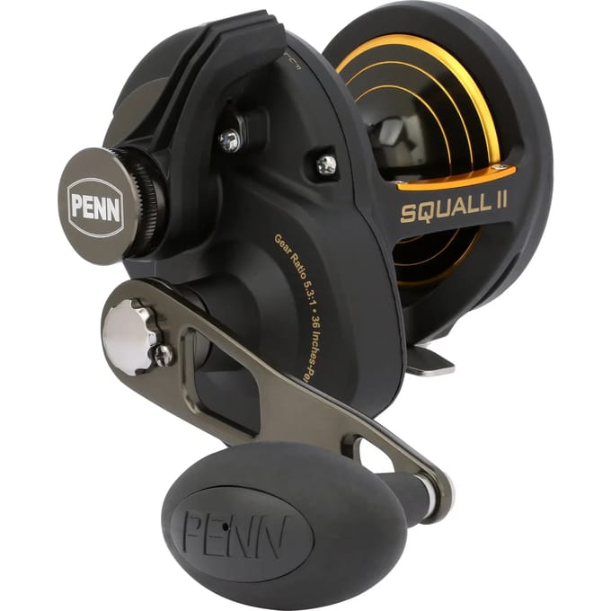 Zeevismolen casting Penn SQLII30LD Squall II