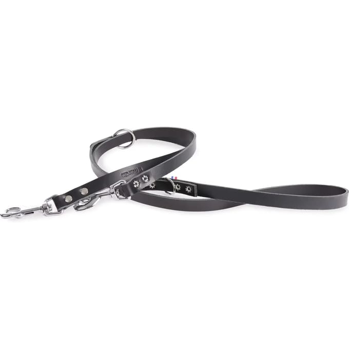 Multikleuren leren hondenriem Martin Sellier 499