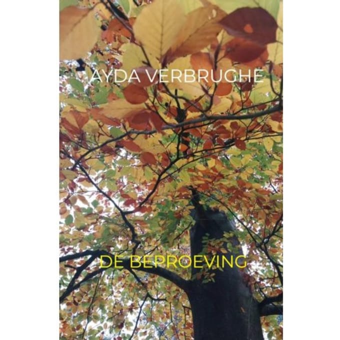 De Beproeving - Ayda Verbrughe