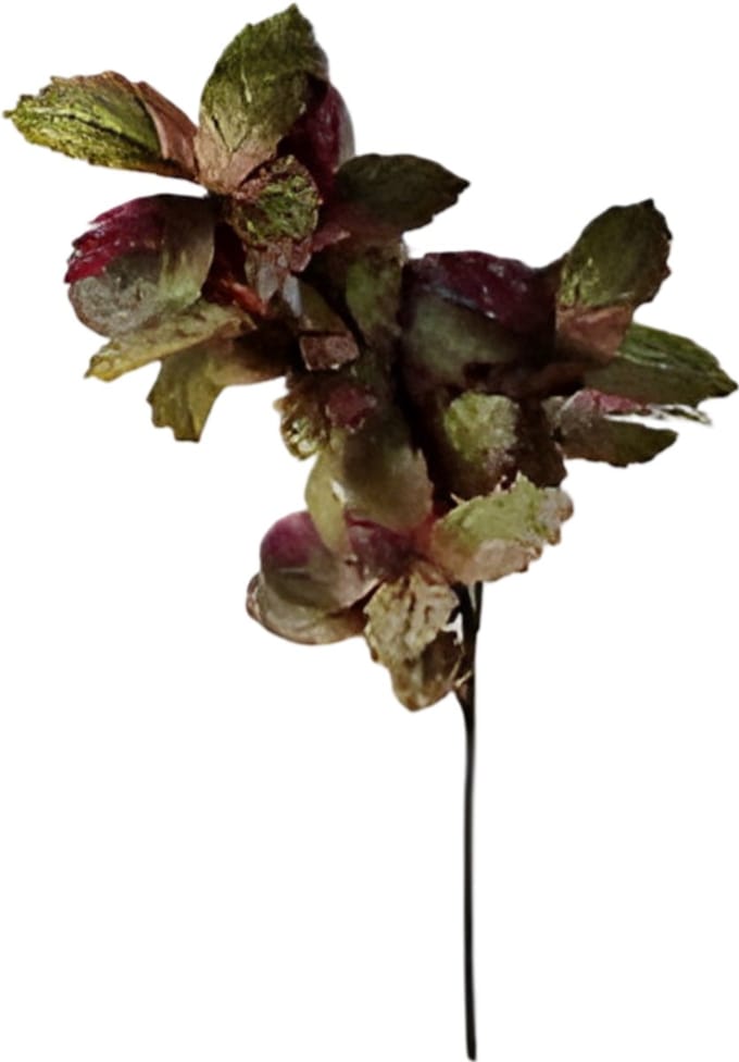 Berkenblad groen rood 120 cm Buitengewoon de Boet