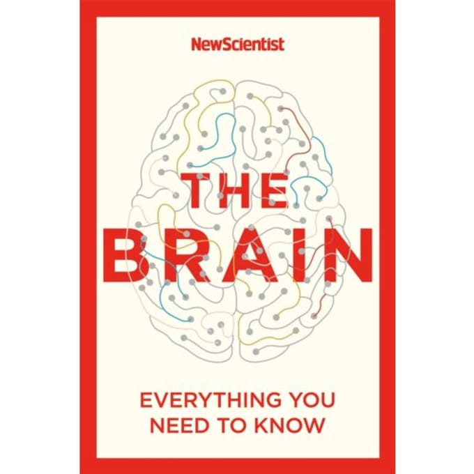 The Brain - New Scientist