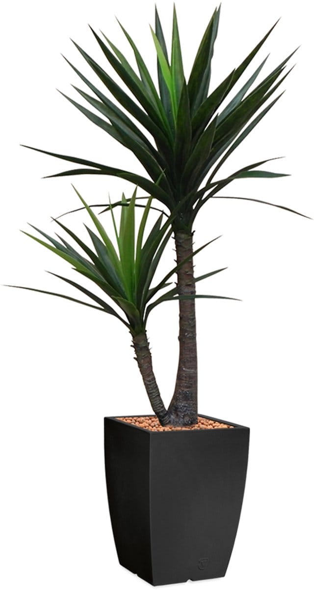 HTT - Kunstplant Yucca in Genesis vierkant antraciet H150 cm