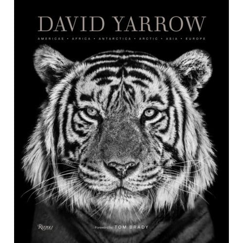 David Yarrow Photography - David Yarrow