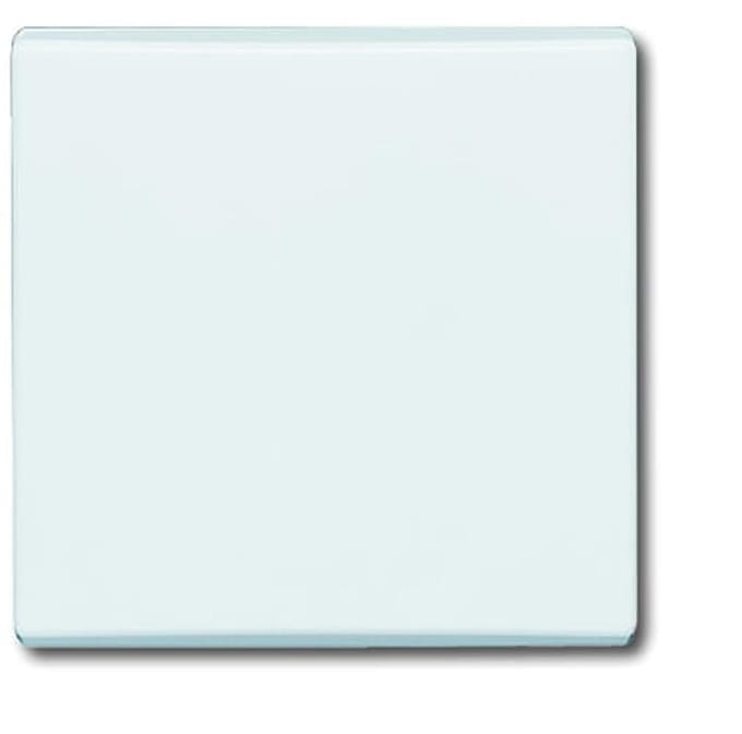 ABB Busch-Jaeger Schakelelement/Centrale Plaat voor Alle weersomstandigheden IP44 - 2CKA001731A1593 - E2AD9