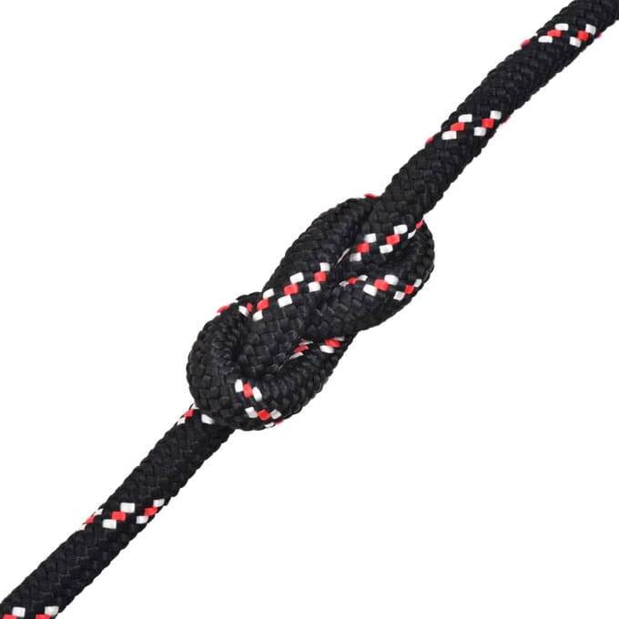 vidaXL - Boot - touw - 10 - mm - 250 - m - polypropyleen - zwart
