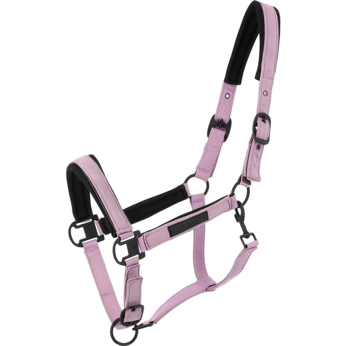 Halster voor paarden Equithème Pearl