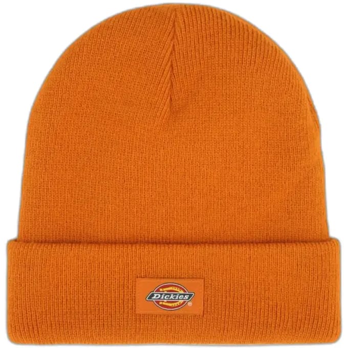 Cap Dickies Gibsland