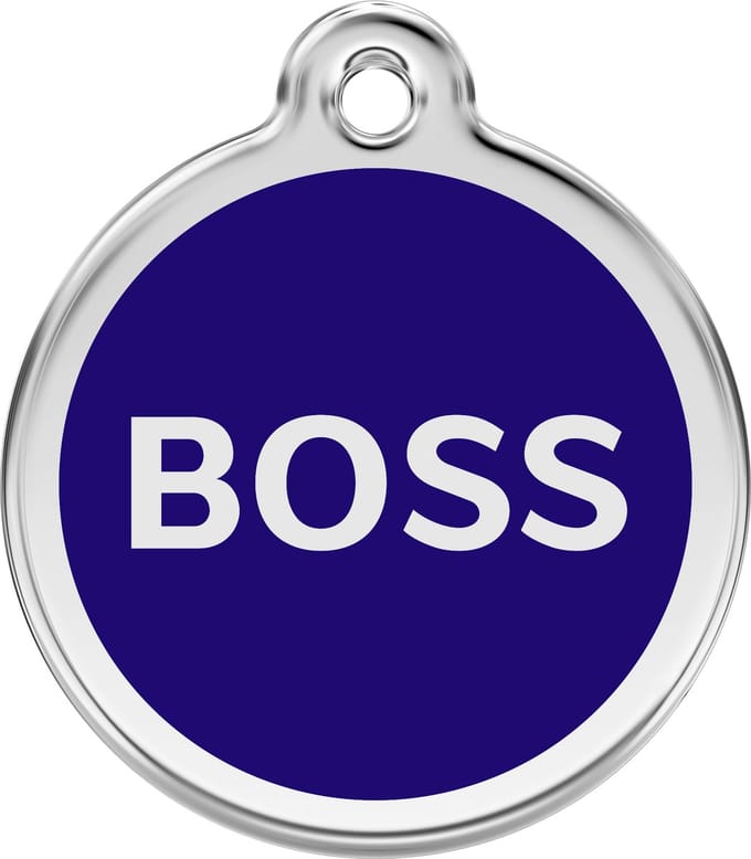 Red Dingo Hondenpenning 38 mm Boss blauw