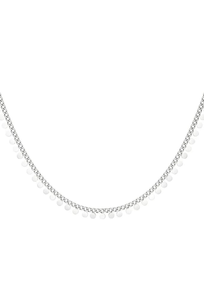 Coin ketting - zilver - Stainless steel