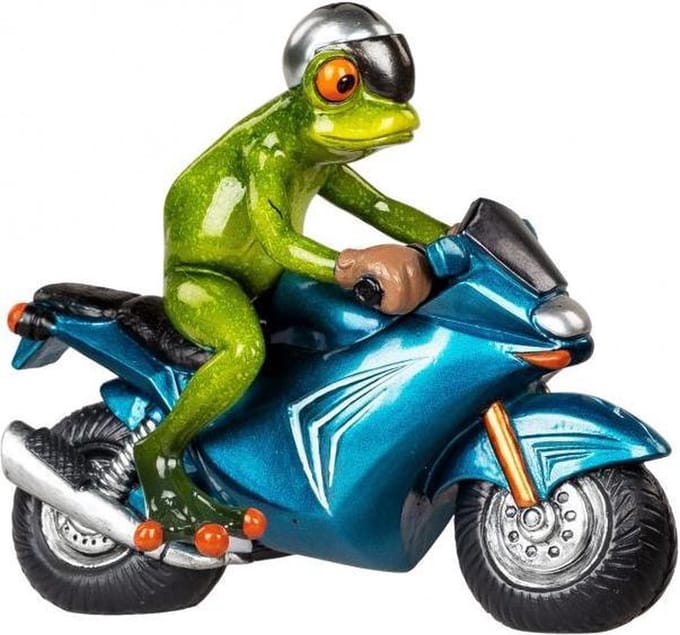 Kikker op blauwe motor racer geschenk motorliefhebber