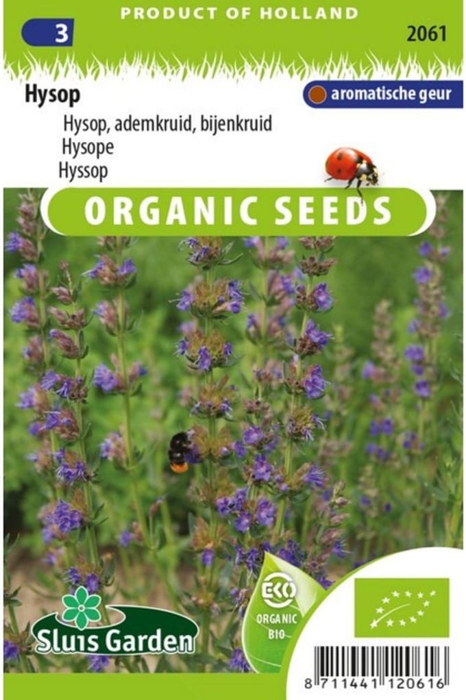 Sluis Garden - Hysop Biologisch (Hyssopus officinalis)