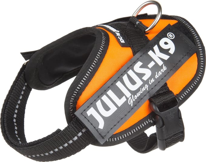 Julius K9 IDC Powertuig/Harnas - Mini/49-67cm - S - Oranje