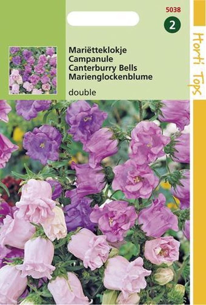Hortitops zaden - Kop-En-Schotel Bloemzaad - Campanula Medium Calycanthema - Gemengd