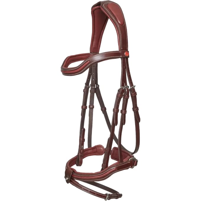 Hoofdstel Kieffer Palmanova with square chrome buckles