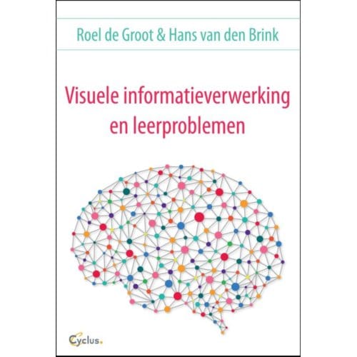 Visuele Informatieverwerking En Leerproblemen - Roel de Groot