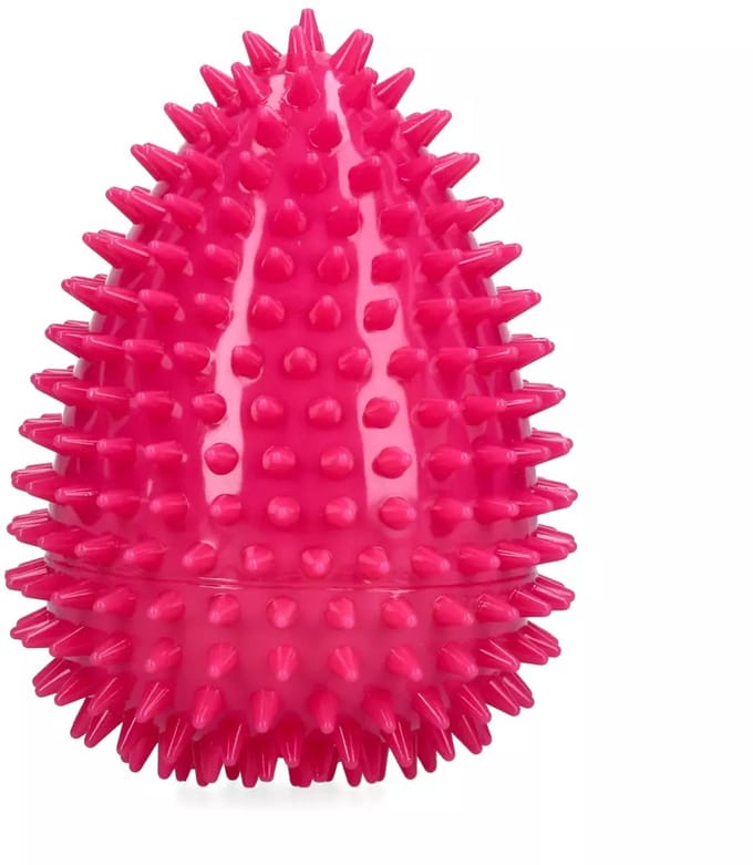 Dog Comets Cosmic Egg - L - Hondenspeelgoed - Drijvend Ei met Pieper - Onvoorspelbare Stuiter - Roze