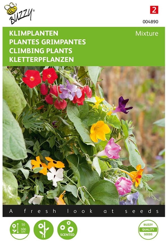 Klimplanten Mengsel