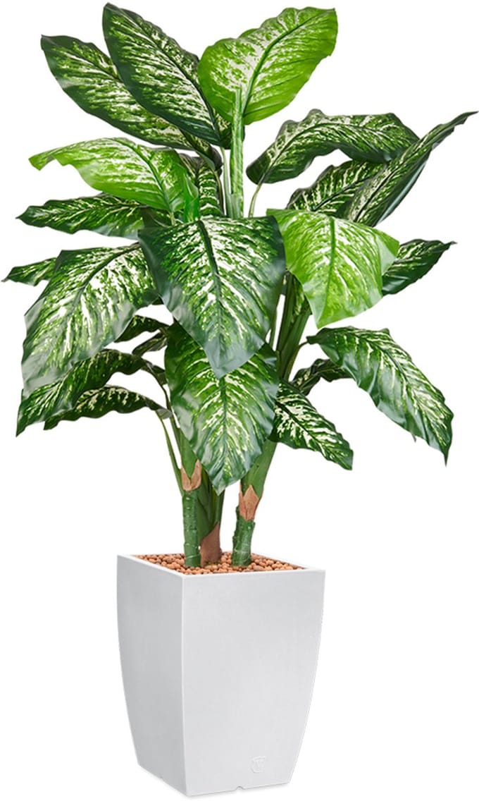 HTT - Kunstplant Dieffenbachia in Genesis vierkant wit H140 cm