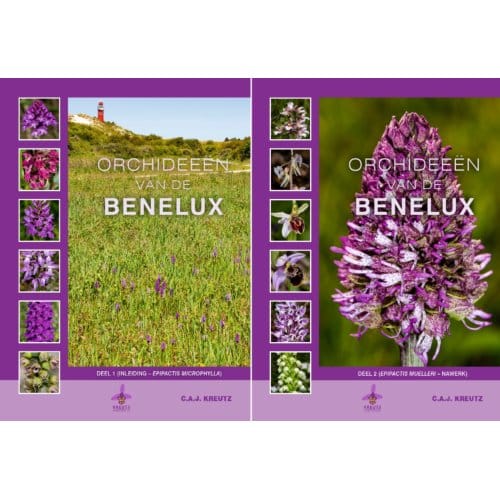 Orchideeën Van De Benelux - C.A.J. Kreutz