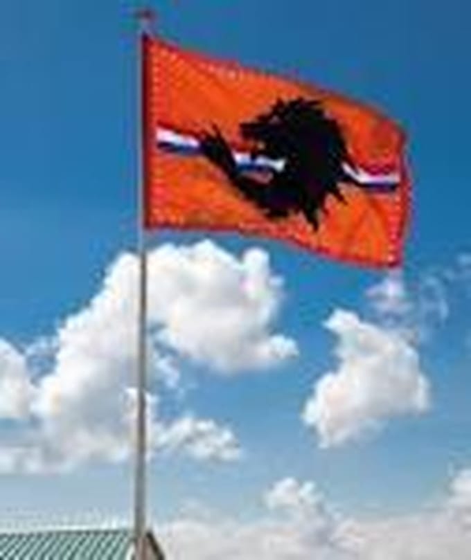 Oranje vlag met leeuw XXL 200x300cm