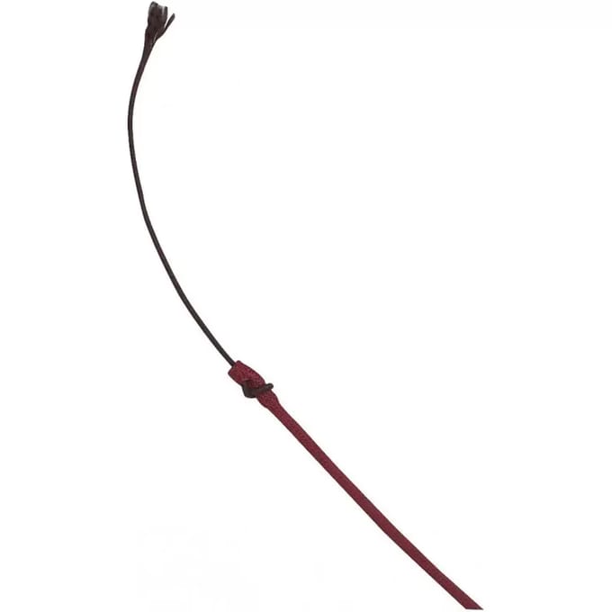 Dressuurstok voor paarden Whip & Go