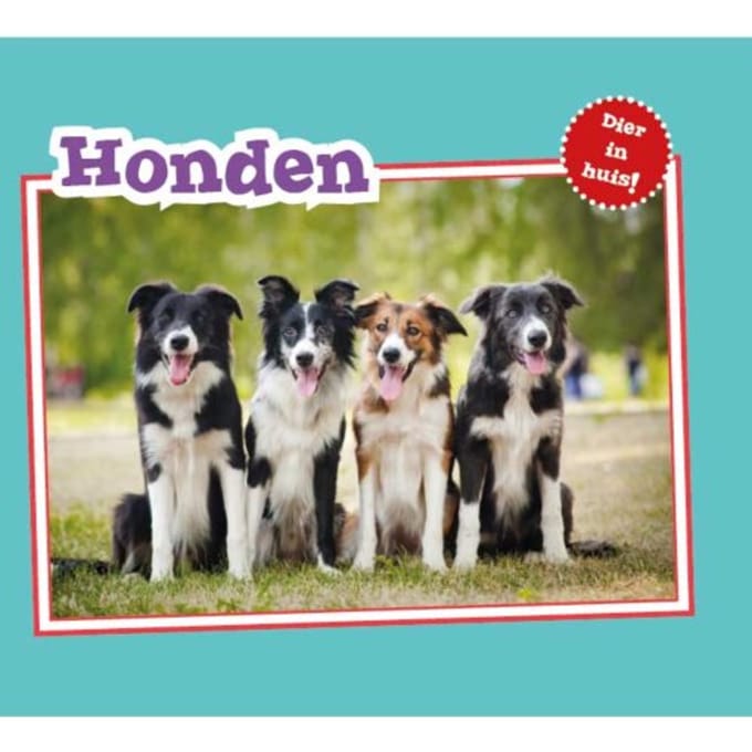 Honden - Dier In Huis - Christina Mia Gardeski