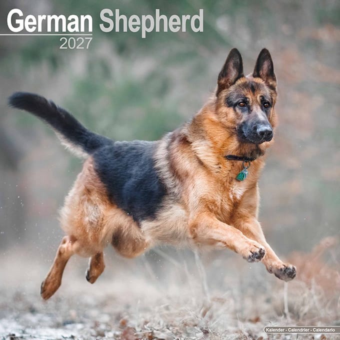 Duitse Herder Kalender 2027