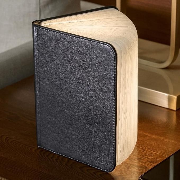 Gingko Mini Smart LED Book Light Black Leather