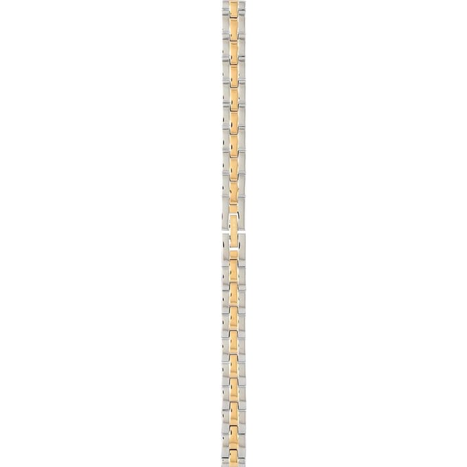 Bering PT-A11022S-BSCG Classic band