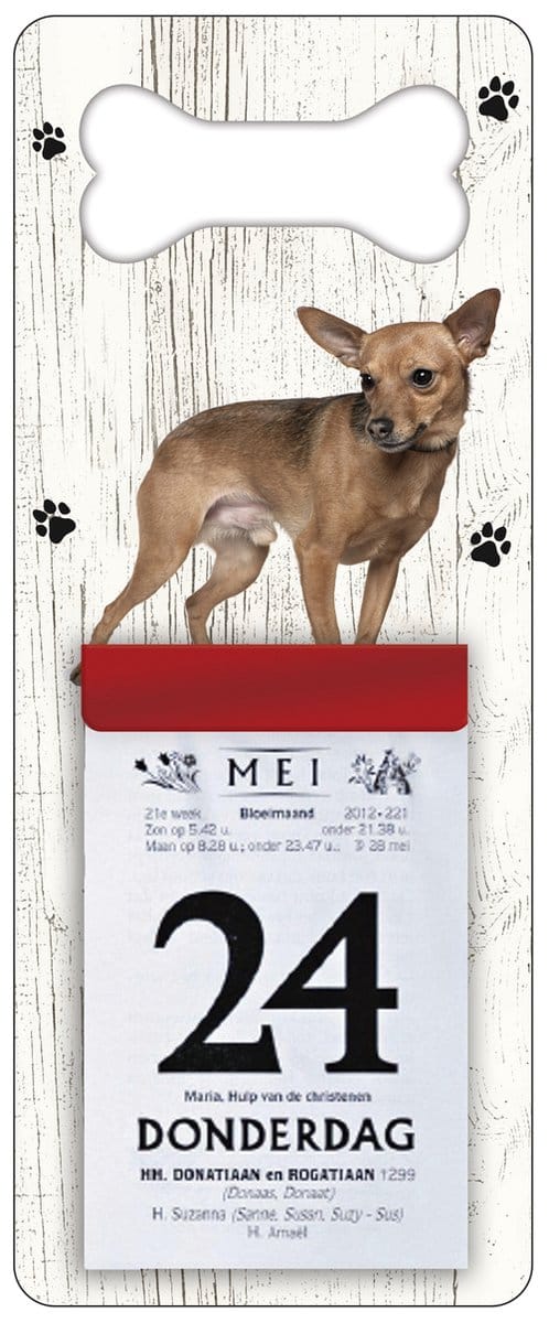 Scheurkalender 2027 Hond: Dwergpinscher