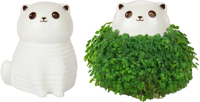 Gift Republic Plantenpot met chiazaden - Cat