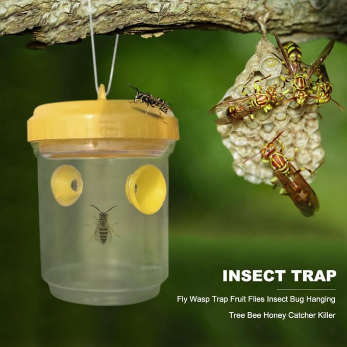 Wespenval Hangende Wespenvanger Wespen Doder Herbruikbare Bijenval Vanger voor Wespen Hoornaars Insecten Fruit white