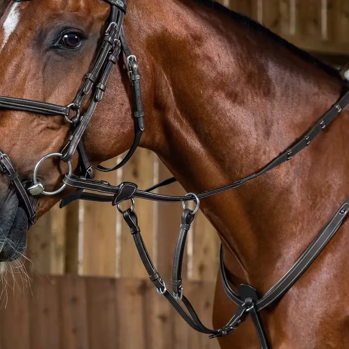 Martingale voor paarden Dy'on Working