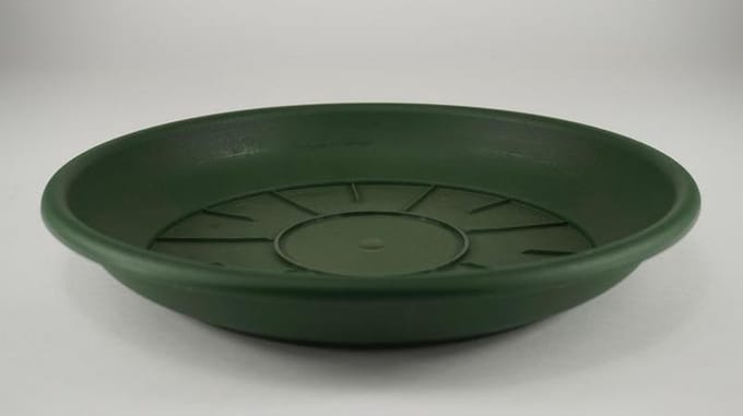 Waterschotels / Onderschalen - Pak á 10 Schotel Domus 42 Cm Groen