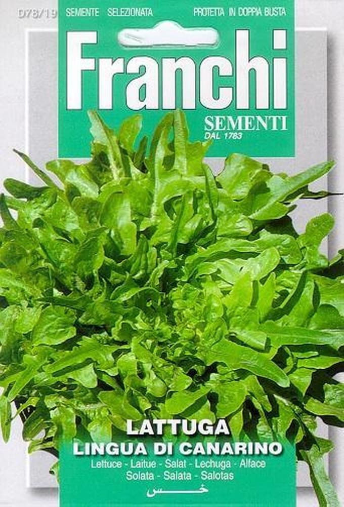 Franchi - Lattuga Lingua Di Canarino - Kropsla Kleinbladig