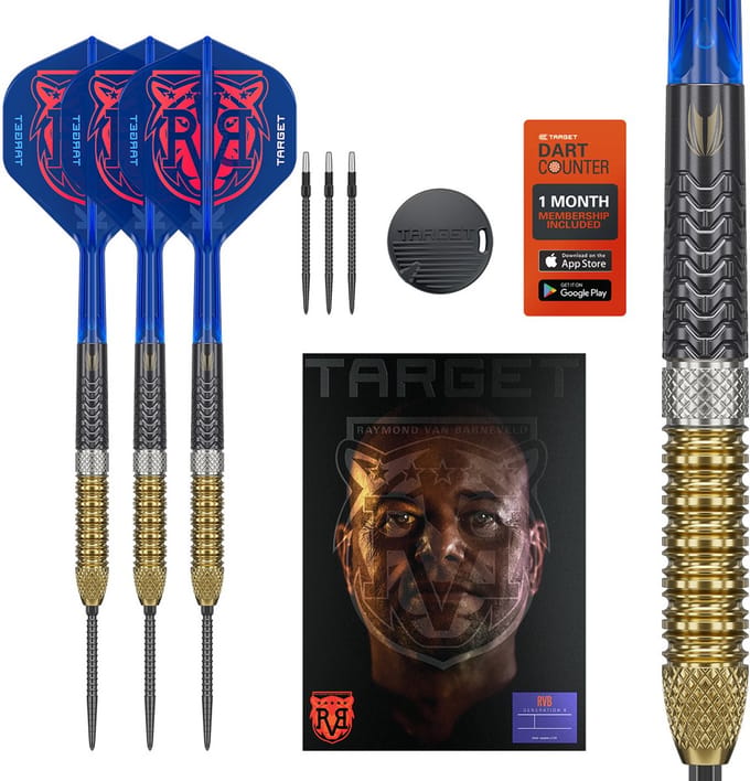 Target Raymond van Barneveld G6 Swiss Point 95% - Dartpijlen