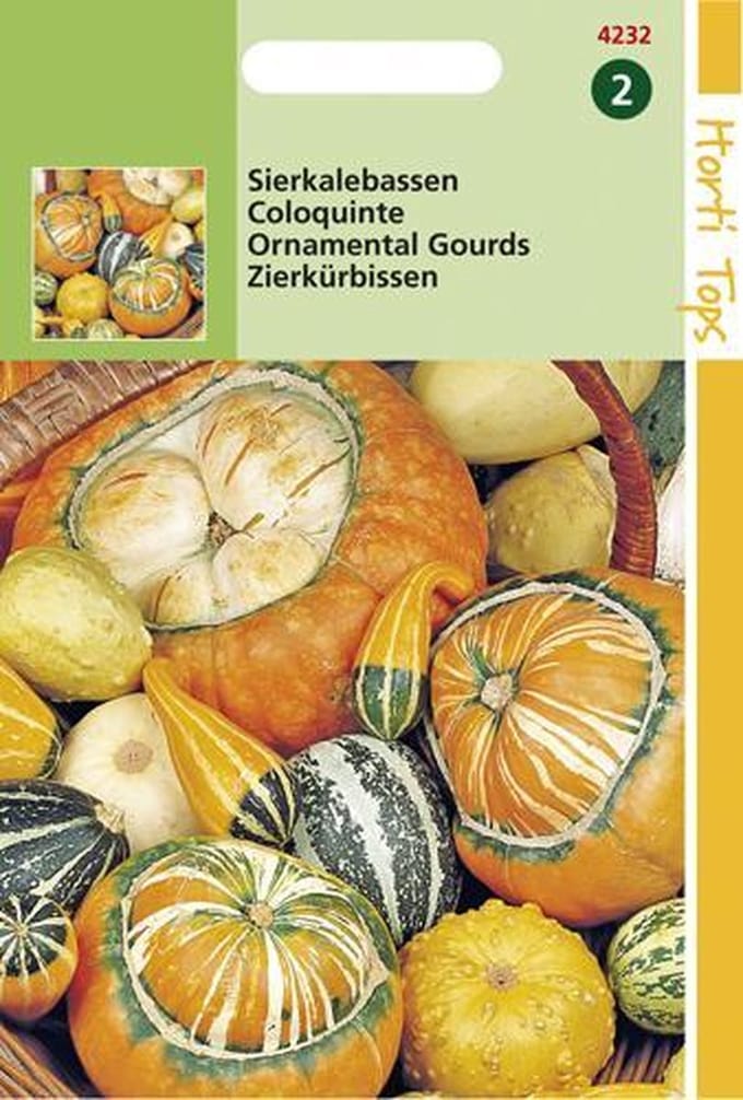 Hortitops Zaden - Cucurbita, Sierkalebas klein-en groot gem.
