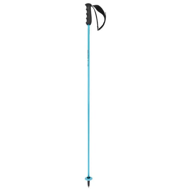 HEAD - worldcup rebels carbon - Skistokken heren - Blauw