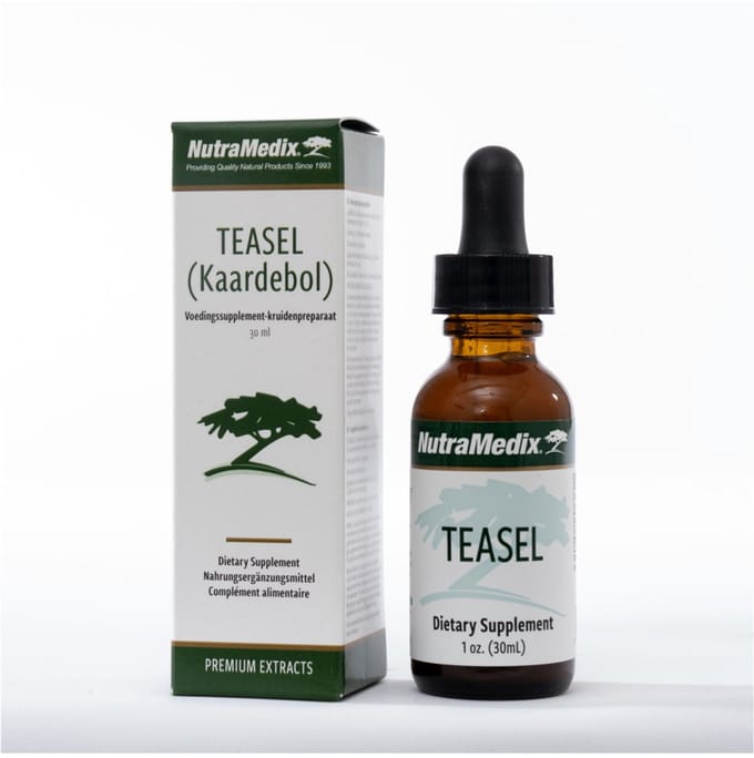 Kaardebol teasel