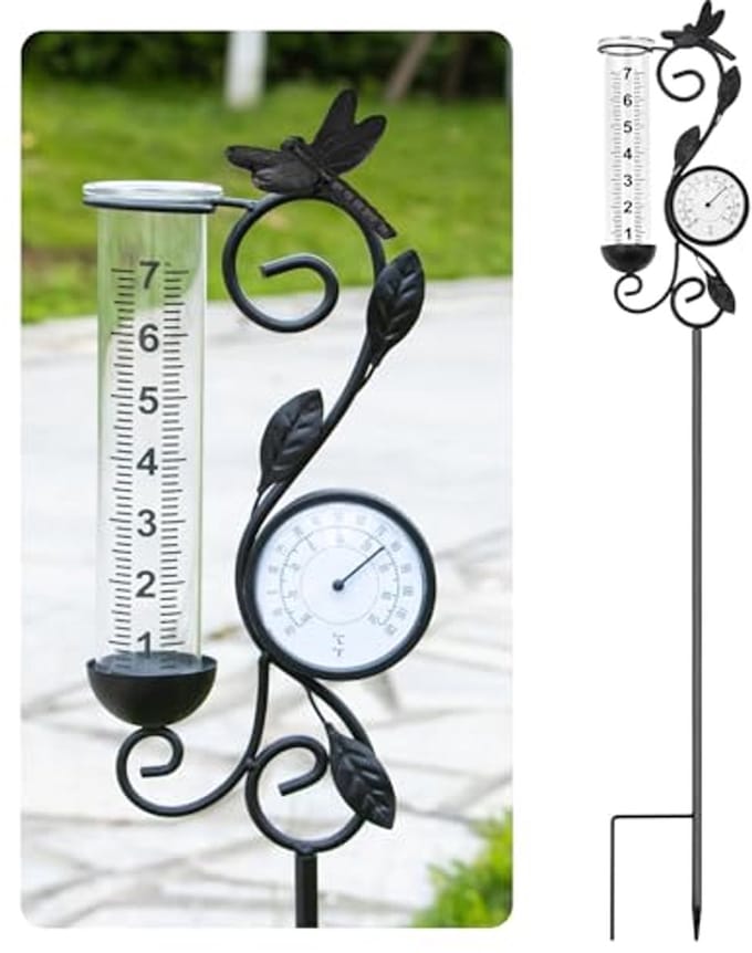 Decoratieve Regenmeter met Thermometer - Zwart, Libellenontwerp