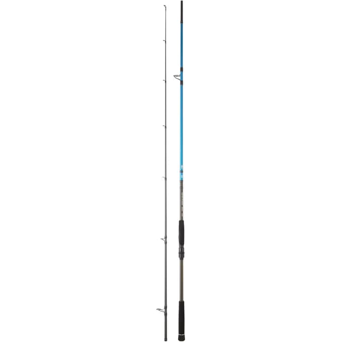 Daiwa Spitfire Seabass Spinhengel Zilver 2.90 m / 14-56 g