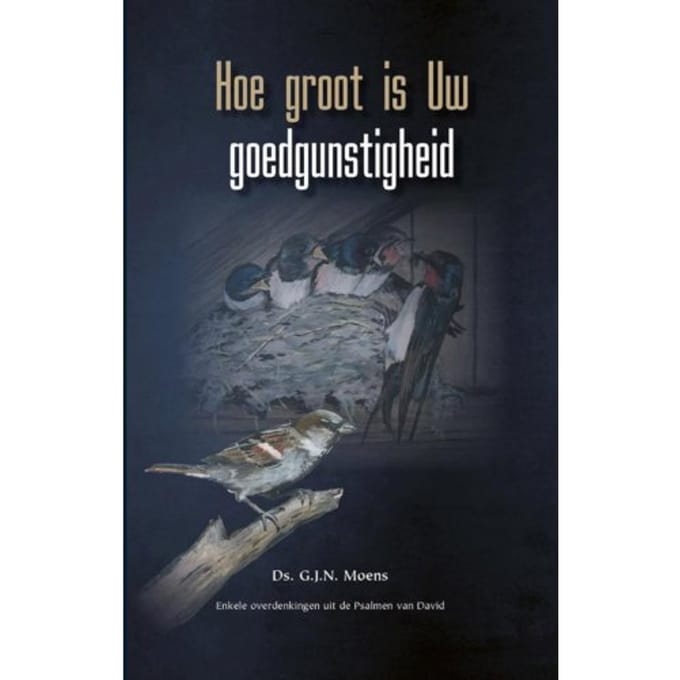 Hoe Groot Is Uw Goedgunstigheid - Themapreken - G.J.N. Moens