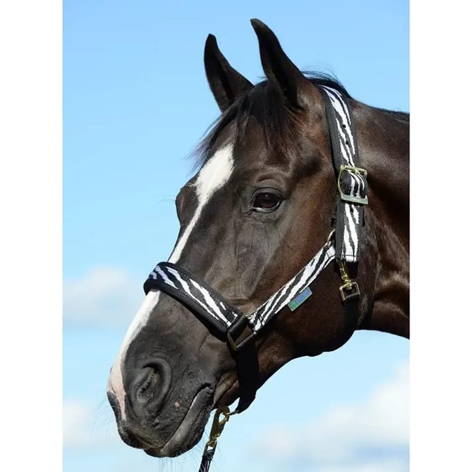 Bucas Halster Bucas Comfort Zebra Zebra