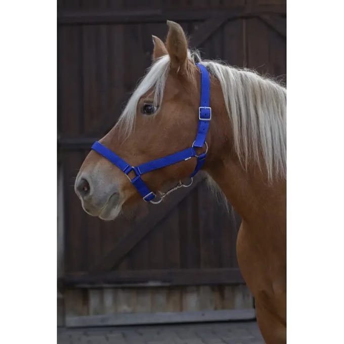NORTON PRO TREKPAARDHALSTER NYLON Blauw