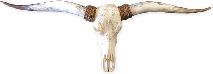 Longhorn skull gegraveerd echt roses 150 cm