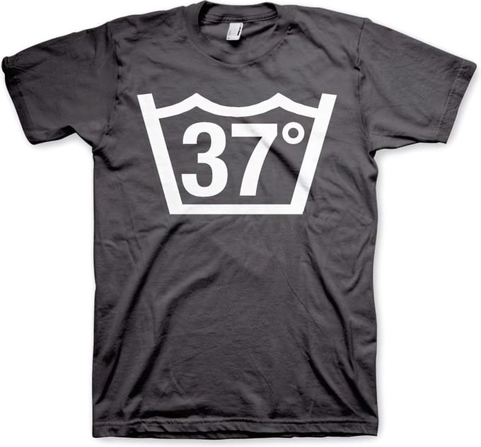 Hybris 37 Celcius Tee T-shirt donkergrijs