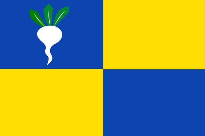 Vlag Sint-Gillis-Waas 120x180cm