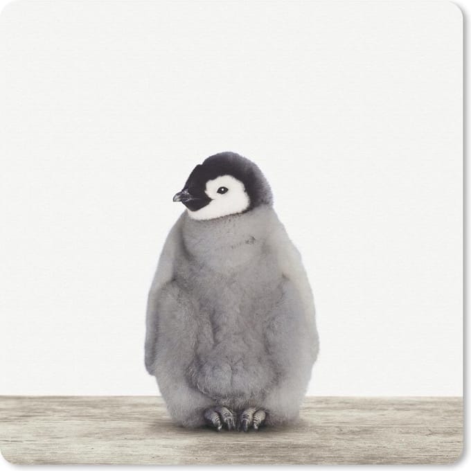 Muismat 20x20 cm - Mousepad Pinguïn - Dieren - Baby - Muismatten