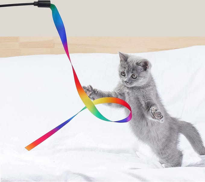 Interactief Kattenspeelgoed - 5 Sets Kleurrijke Lintstokken (Regenboog)